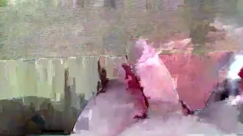 hera44 online show from 04/21/26, 05:50