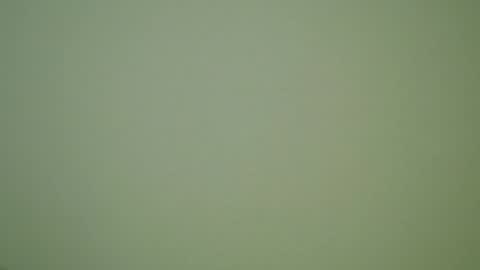 John Pearl online show from 12/30/24, 10:01