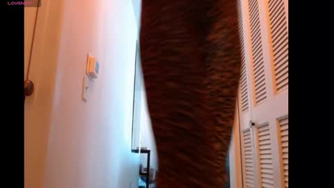 hevin69 online show from 02/15/26, 07:10