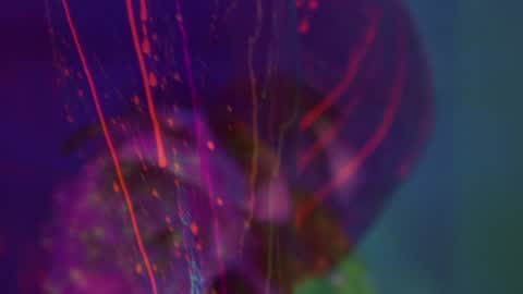 Alina online show from 09/08/25, 05:34