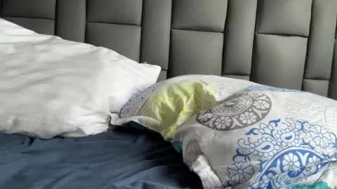 Terry and E online show from 09/21/25, 08:54