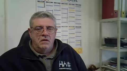 hippo online show from 12/23/24, 09:59