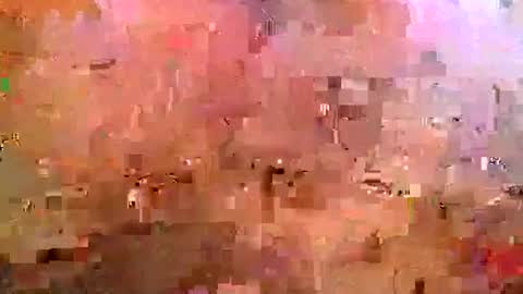 midwestchamp online show from 04/25/26, 10:51