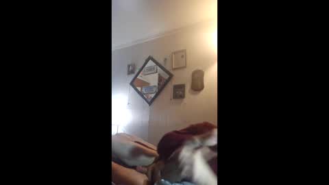 Snapshot of hoglegg99384194 chatting on 04/27/26, 04:32 hoglegg99384194 online show from 04/27/26, 04:32