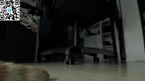 holy_mistresss online show from 04/19/26, 07:40