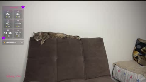 Vio online show from 03/01/25, 08:21