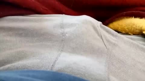 holycannoli123 online show from 02/05/26, 03:49