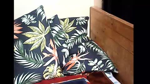 cristy online show from 10/14/25, 10:10