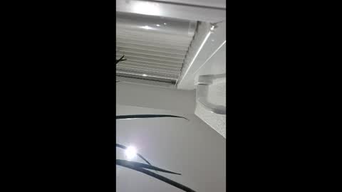 holzinger online show from 04/05/26, 10:51