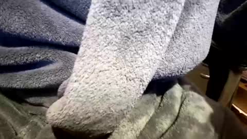 Neal online show from 03/23/26, 02:21