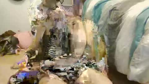 HoneyBear online show from 10/23/25, 06:50