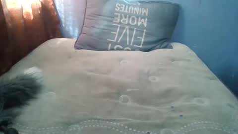 Honeybut72 online show from 09/19/25, 09:59