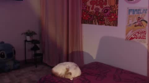 Snapshot of honeyypeaach chatting on 12/11/24, 12:12    online show from 12/11/24, 12:12