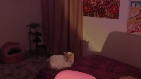 Snapshot of honeyypeaach chatting on 12/18/24, 11:30    online show from 12/18/24, 11:30