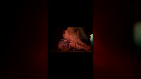 hoodiehoe online show from 03/03/26, 06:41