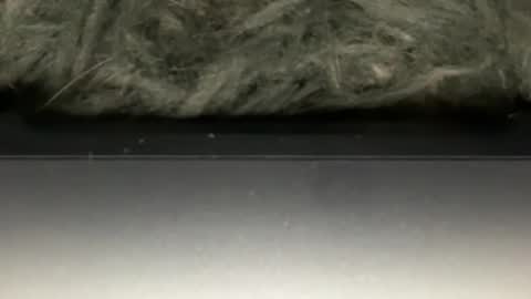 D online show from 02/23/26, 05:38