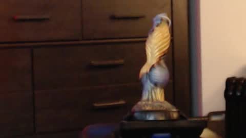 ItsReeleMe online show from 02/08/26, 04:38