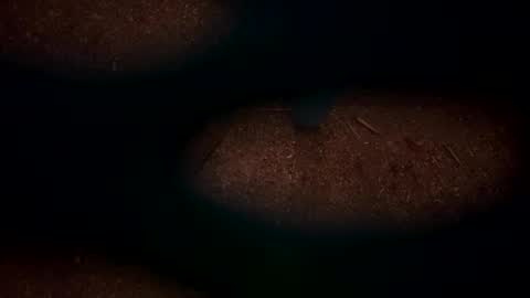 hopper_in_joyce online show from 03/02/25, 09:10