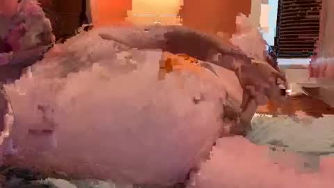 Snapshot of horndawglove chatting on 01/06/25, 07:56 horndawglove online show from 01/06/25, 07:56