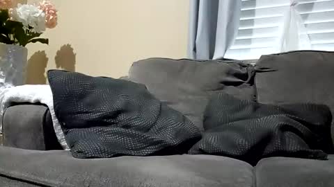 Snapshot of hornlat chatting on 11/13/25, 12:20 Hornlat online show from 11/13/25, 12:20