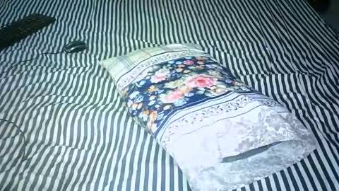 AMANI online show from 01/15/25, 08:09