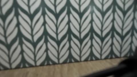 Jan online show from 01/04/25, 08:49