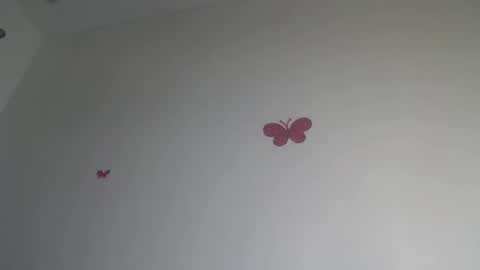 Iris online show from 01/15/26, 07:28