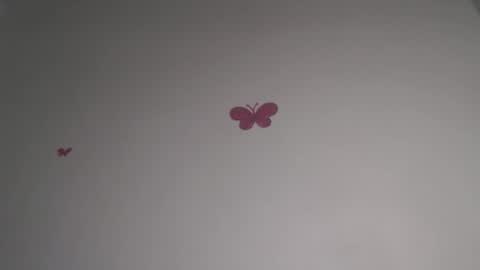 Iris online show from 02/05/26, 07:18