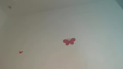 Iris online show from 04/02/26, 07:55