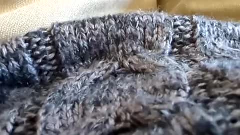 Tiny cock online show from 03/02/25, 07:12