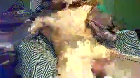 hornycocxxx online show from 03/09/25, 01:14