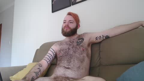 Snapshot of hornyhairy_bi chatting on 01/06/25, 04:55 Harry online show from 01/06/25, 04:55