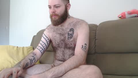 Snapshot of hornyhairy_bi chatting on 02/05/25, 03:20 Harry online show from 02/05/25, 03:20