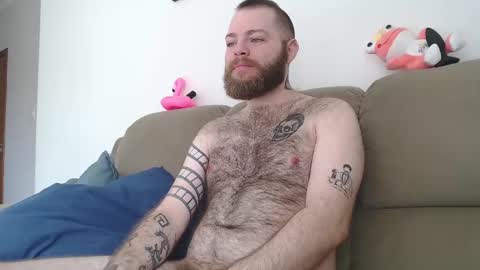 Snapshot of hornyhairy_bi chatting on 02/24/25, 03:42 Harry online show from 02/24/25, 03:42