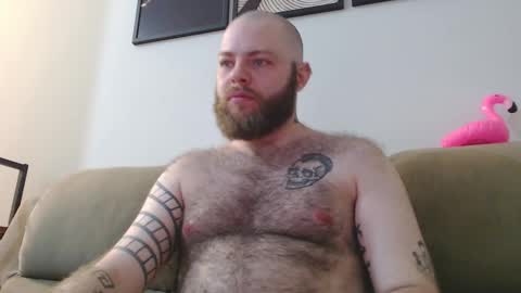 Snapshot of hornyhairy_bi chatting on 10/23/25, 10:52 Harry online show from 10/23/25, 10:52