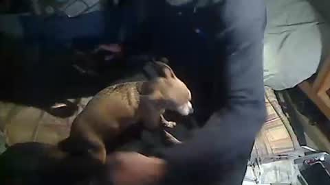 Snapshot of hornyscott666 chatting on 03/04/26, 09:04 hornyscott666 online show from 03/04/26, 09:04