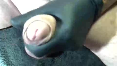 horse_dick9 online show from 09/11/25, 11:43