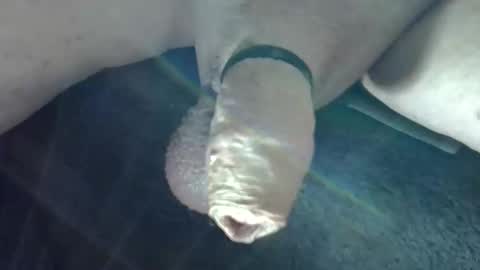 horse_dick9 online show from 10/09/25, 10:46