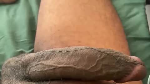 Bbc horsey online show from 01/12/26, 07:19