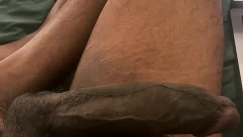 Bbc horsey online show from 02/03/26, 12:31