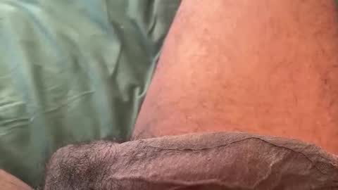 Bbc horsey online show from 02/11/26, 08:58