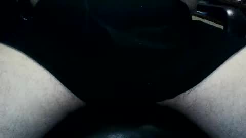 horsesaslife online show from 09/22/25, 08:22