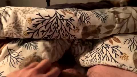 Snapshot of hot_for_you_ chatting on 10/18/25, 12:57 hot_for_you_ online show from 10/18/25, 12:57