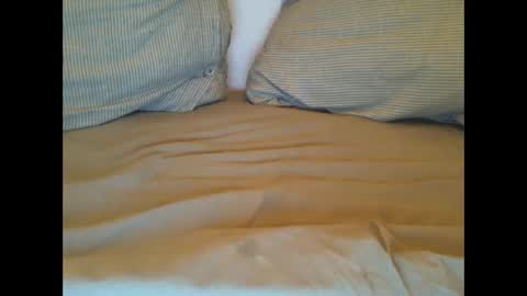 Lars online show from 03/01/25, 11:26