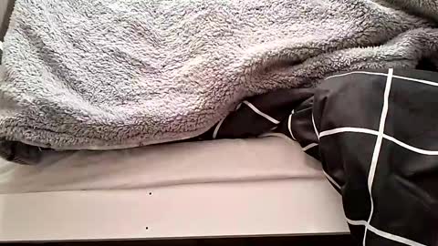 Snapshot of hot_m4le chatting on 11/01/25, 12:23 hot_m4le online show from 11/01/25, 12:23