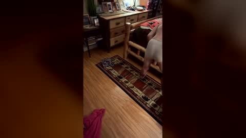 hot_stuff288 online show from 04/01/26, 05:54