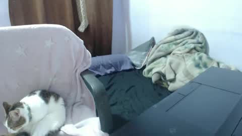 Hot and PowerHOPE U MISS ME online show from 11/14/25, 03:49