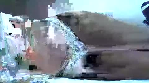 hotberry_7 online show from 04/06/26, 08:37