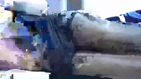 hotberry_7 online show from 04/19/26, 08:22