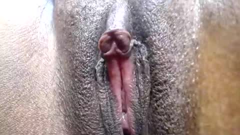 hotcake4567 online show from 02/25/26, 12:09